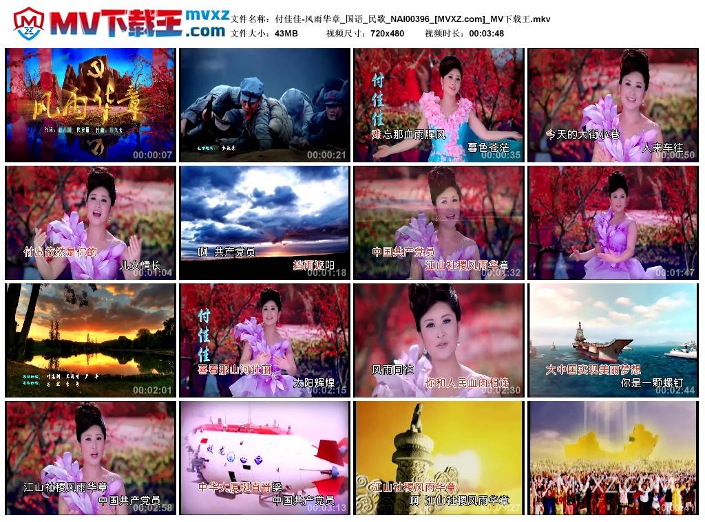 付佳佳-风雨华章_国语_民歌_NAI00396